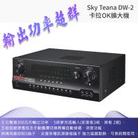 Sky Teana DW-2 卡拉OK綜合擴大機 全新公司貨