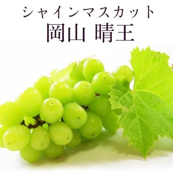 果物樂園-日本岡山晴王麝香葡萄特大房 原箱6-7串(約5kg/箱)
