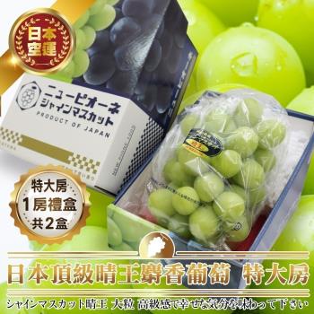 果物樂園-日本岡山晴王麝香葡萄特大房1房X2盒(670-750g/串)