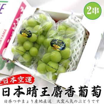 果物樂園-日本岡山縣晴王麝香葡萄2房禮盒(約600-700g/串)