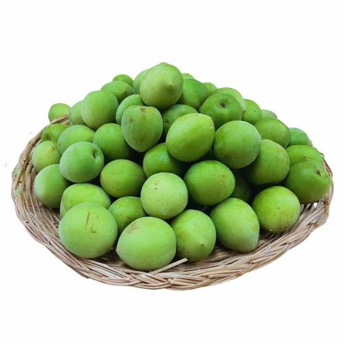 【RealShop 真食材本舖】南投信義鄉青梅 特級 中大果 約20斤/12kg±10%袋裝