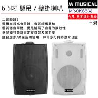 AV MUSICAL OK65 懸吊/壁掛喇叭一對 黑/白二色(商業空間播放音樂或家用)
