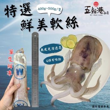 【買2送2】五朝港水產-4A特選鮮美軟絲 (450克±10%/隻) 兩隻1包 共4隻