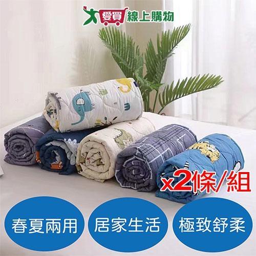 超值涼被 110x150cm(混色)【2件超值組】柔軟 親膚 無甲醛 涼被 被子 棉被【愛買】