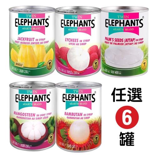 【雙象地球牌】糖水水果罐頭-亞答子/山竹/紅毛丹/荔枝/菠蘿蜜(任選 6 罐)