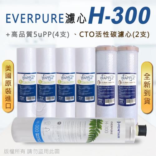【Everpure】美國原廠平行輸入H300 濾心+高品質前置5uPP濾心+CTO濾心(7支組)