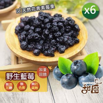 【甜園】野生藍莓 / 火龍果乾 x6包(★無新增糖★無糖果乾★低溫烘培★低熱量果乾★果肉Q彈)