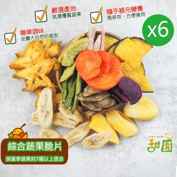 甜園 綜合蔬果脆片 / 綜合水果脆片x6包 蔬果脆片 青菜脆片 脆片 蔬菜脆片 蔬菜餅乾 脫水蔬菜 素食