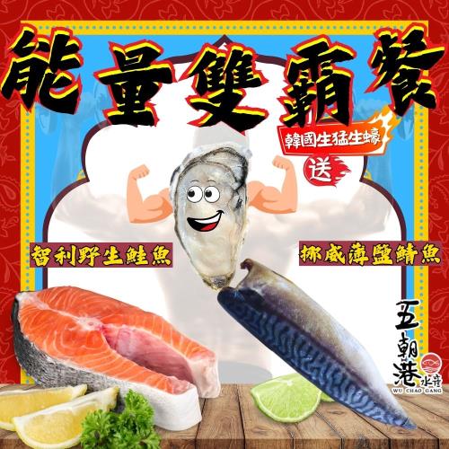 【能量雙霸餐加碼送韓國生猛半殼生蠔】智利野生鮭魚(320克±10%/包)共2片+挪威薄鹽鯖魚  (650克±10%/包)共5片
