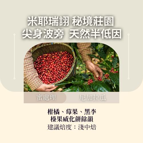 CAFEPRO 尼加拉瓜 秘境莊園 尖身波旁 天然半低因咖啡  500公克(蜜處理) (咖啡生豆)(二次篩選)