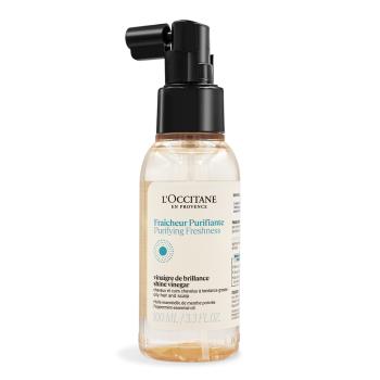 LOCCITANE 歐舒丹 草本淨涼頭皮清新噴霧(100ml)-百貨公司貨