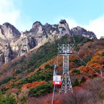 秋季出發↘易起首爾賞楓趣~(不進人參、護肝、土產)大屯山賞楓、繽紛愛寶、水族館&美人魚秀、塗鴉秀、超級海鮮鍋&燒肉吃到飽六日