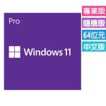 Microsoft Windows 11 專業中文版 64位元隨機版