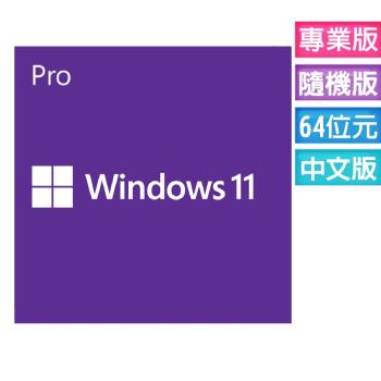 Microsoft Windows 11 專業中文版 64位元隨機版