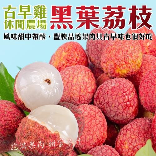 農民直配-古早雞休閒農場荔枝_去枝去葉 2盒(約3斤/盒)