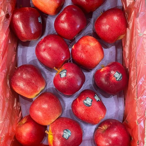 【新鮮水果】紐西蘭 極光 蘋果6入禮盒