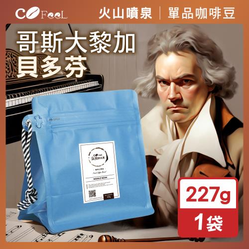 CoFeel 凱飛鮮烘豆哥斯大黎加貝多芬酵素水洗咖啡豆半磅-淺中烘焙(227g/袋)