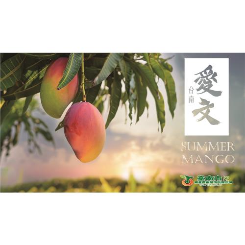 東森農場季節限定台南南化愛文芒果