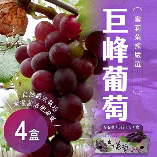 【雪莉朵辣嚴選】巨峰葡萄 5斤(5-6串) x4盒