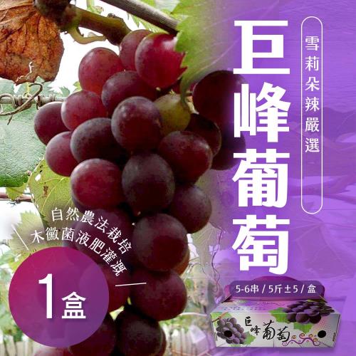 【雪莉朵辣嚴選】巨峰葡萄 5斤(5-6串) x1盒