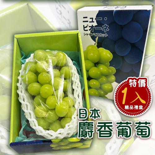 【新鮮水果】日本空運 香甜爆汁皮薄無籽 麝香葡萄單串禮盒