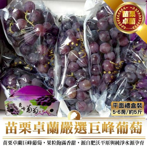 果農直配-苗栗卓蘭巨峰葡萄禮盒(5-6房_5斤/盒)