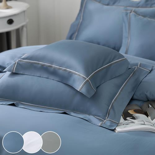 鴻宇 300織美國棉 純色刺繡 歐式壓框枕套2入-多款任選