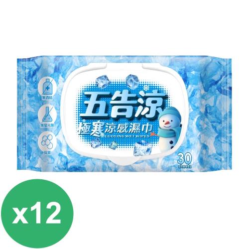 奈森克林 五告涼極寒涼感濕巾30抽附蓋X12包