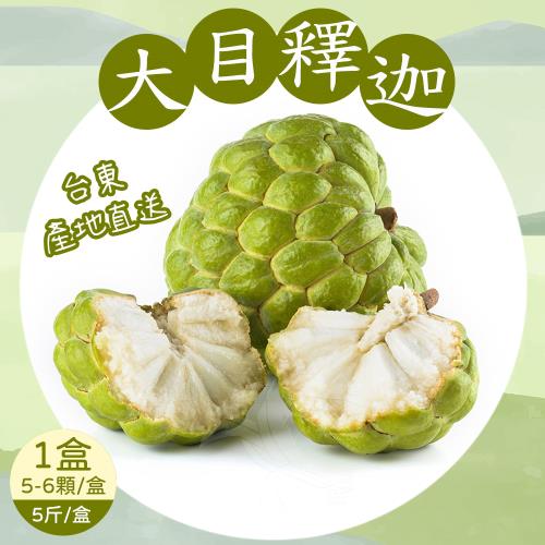 【禾鴻】台東優質大目釋迦5斤x1盒(5-6顆/盒_中果)