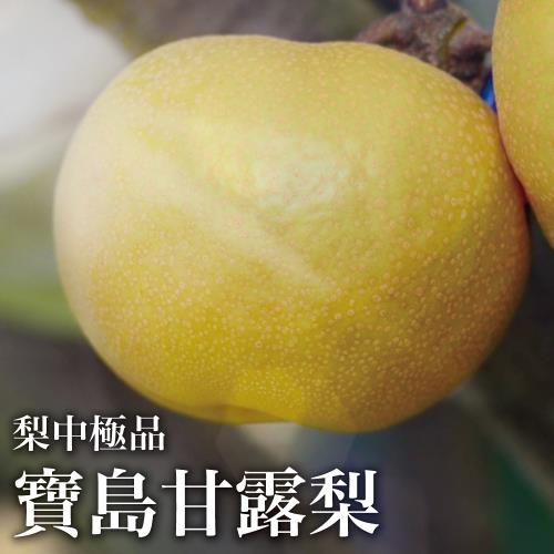 【十翼饌選果】頂級寶島甘露梨6粒/8臺斤x1盒(友善農耕/草生栽植/無除草劑)