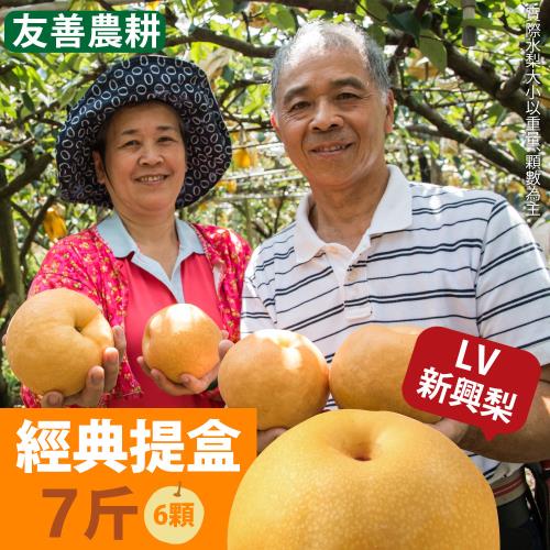 【十翼饌選果】龍安果園 特選LV等級新興梨 經典提盒6顆/7台斤x1盒入(光波水梨/產地直送/送禮)