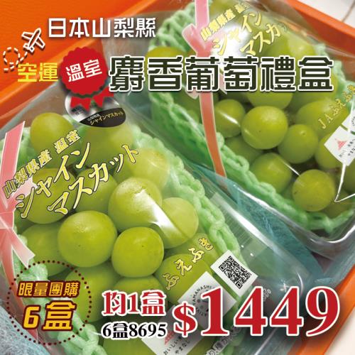【新鮮水果】驚喜團購價6盒｜日本山梨｜極甜麝香葡萄雙串禮盒