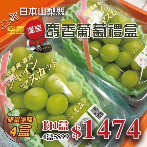 【新鮮水果】驚喜團購價4盒｜日本山梨｜極甜麝香葡萄雙串禮盒