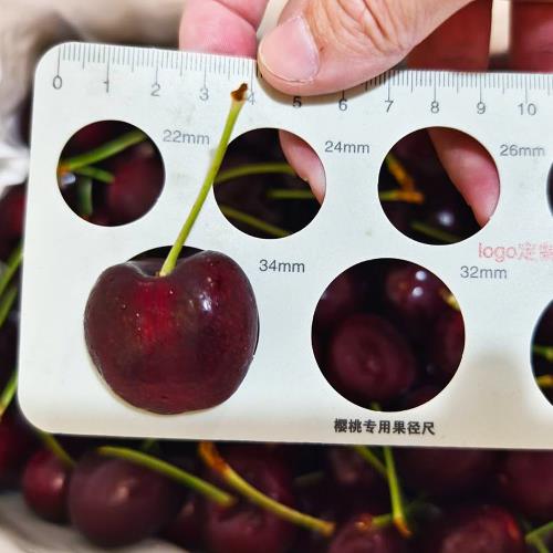 愛蜜果 稀有款超大顆 美國空運櫻桃8R(淨重約600G/盒)