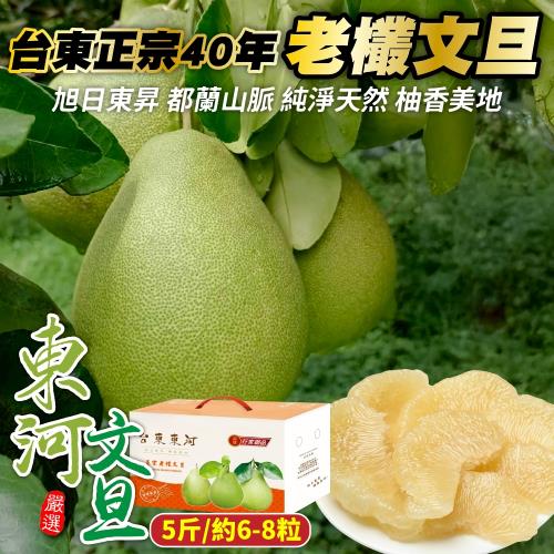 果農直配-台東正宗40年老欉文旦「東河文旦」x2箱(6-8粒_約5斤/箱)