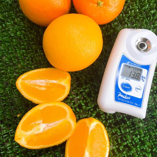 【水果達人】大顆鮮甜多汁無籽肚臍丁禮盒15顆 1盒(200g/顆)