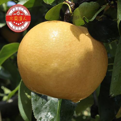 【水果達人】苗栗卓蘭大顆爆汁高接梨禮盒5-8顆 1箱