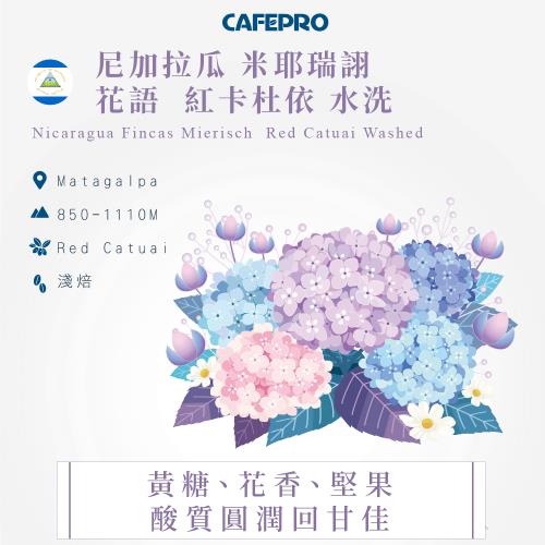 CAFEPRO 尼加拉瓜 米耶瑞詡  花語  紅卡杜依 水洗(咖啡生豆)(二次篩選)