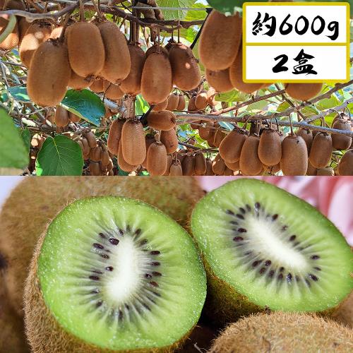 愛蜜果 台灣梨山綠色奇異果 (7-8顆/約600克/盒) X2盒