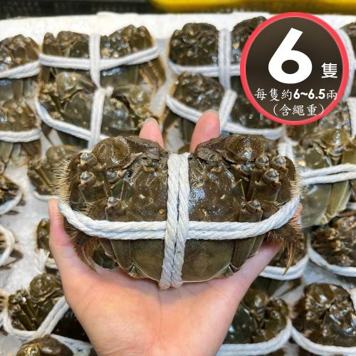 【華得水產】活蟹直送 江蘇大閘蟹(6隻_6-6.5兩/隻)-預購
