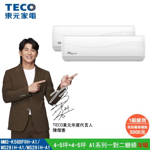 【TECO 東元】 4-5坪+4-5坪 一對二變頻冷暖分離式空調(MM2-K56BFRH-A1/MS29IH-A1+MS29IH-A1)