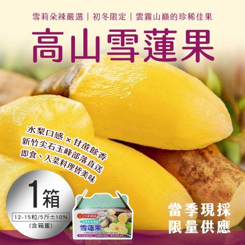 【雪莉朵辣嚴選】高山雪蓮果(12-15粒) 5斤/箱(含箱重) x1箱