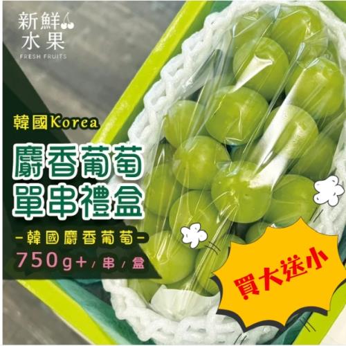 【新鮮水果】買2送1★韓國麝香葡萄禮盒買大送小