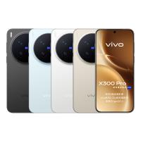 vivo X300 Pro 5G (16G/512G)