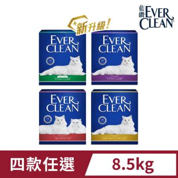 【EverClean 藍鑽】強效除臭貓砂 8.5kg 升級99%極低塵 (礦砂 低粉塵 除臭 抑味 凝結)