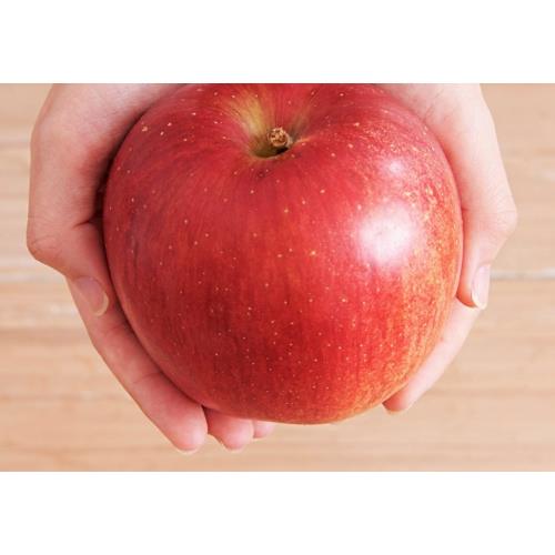 日本青森直送多汁脆甜蜜富士蘋果