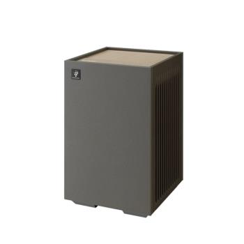 SHARP 夏普 9坪 迷你方 空氣清淨機 FU-S40T-T 小茶棕