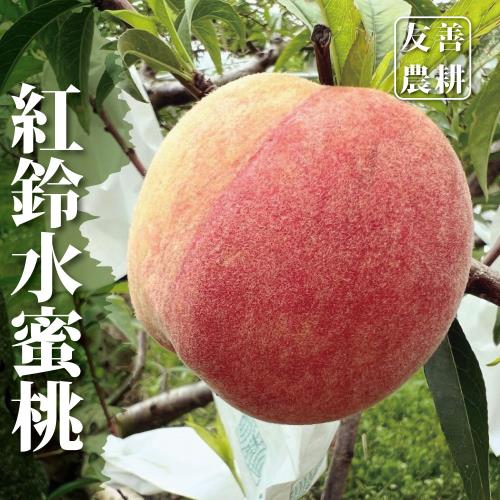 【十翼饌選果】台中東勢極品紅鈴水蜜桃5粒入/箱x1箱(每粒約4.6-5.5兩)(黑貓低溫配送)
