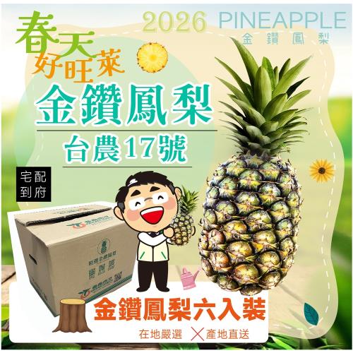 台南關廟產銷履歷金鑽鳳梨好旺萊-勁