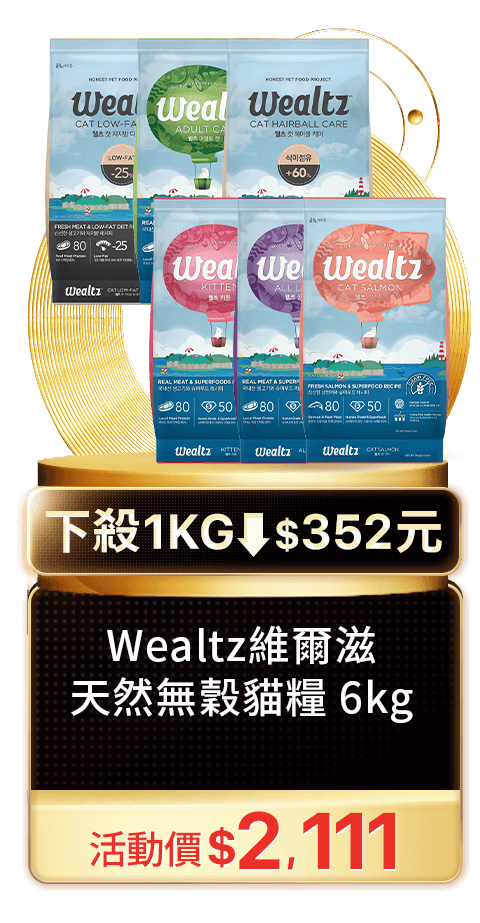 Wealtz維爾滋